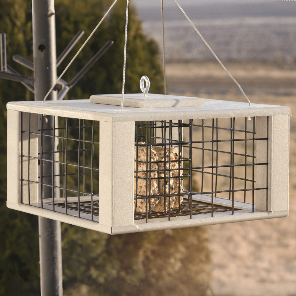 Bird feeder with suet cakes hanging outdoors