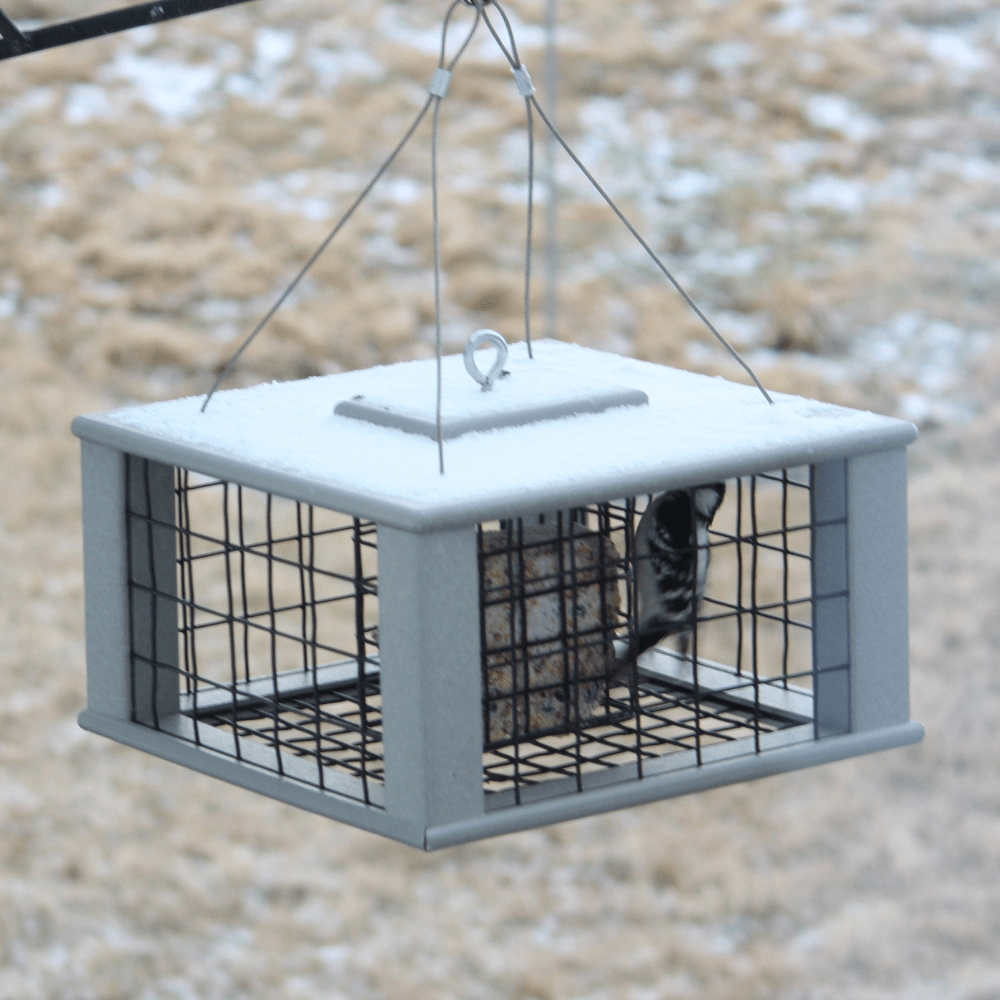Gray suet feeder