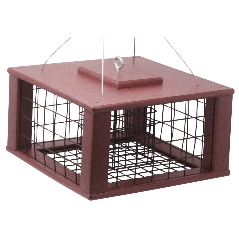 Cherry color suet bird feeder on white background