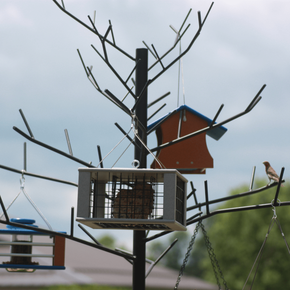 Bird feeders attached to a Decorative Multi-Feeder tree with a blurred background