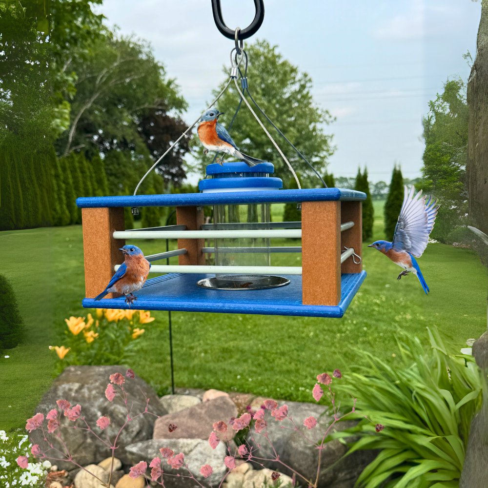 Deluxe Bird feeder with bluebirds in a garden setting