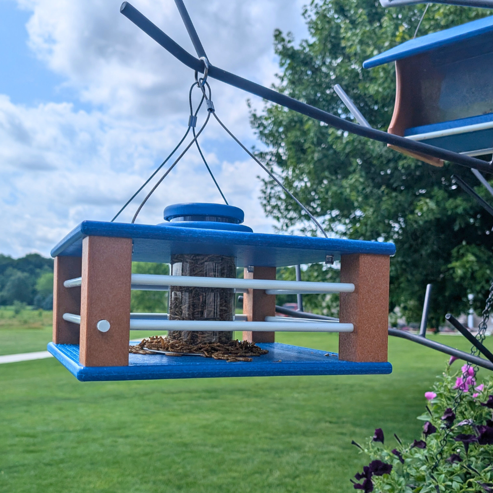 Deluxe Bluebird feeder hanging outdoors with trees and sky in the background