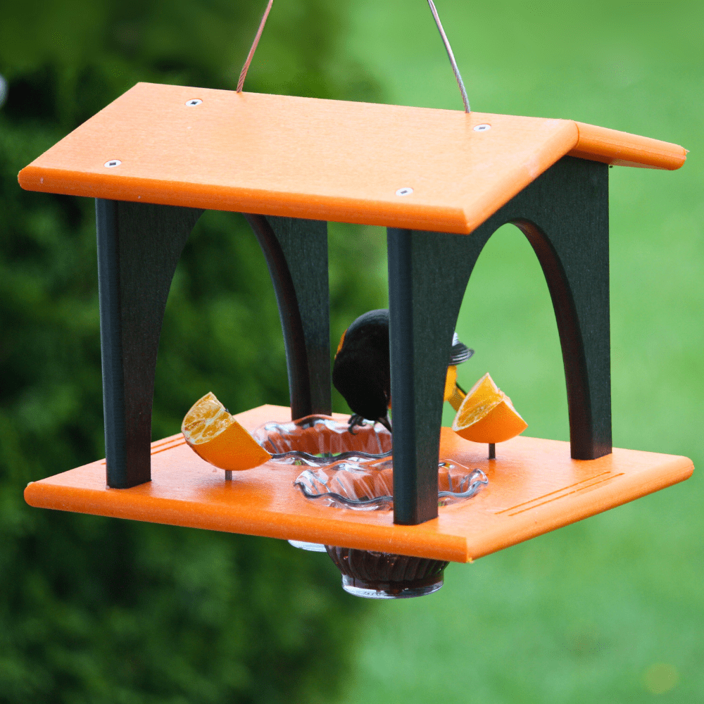 Bird feeder with orange and black design, filled with jelly and fruit, against a green blurred background.