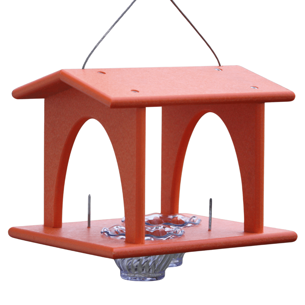 Orange oriole feeder on a white background