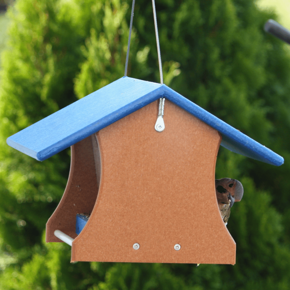 Bird feeder with a blue roof and brown body, hanging against a green tree background.