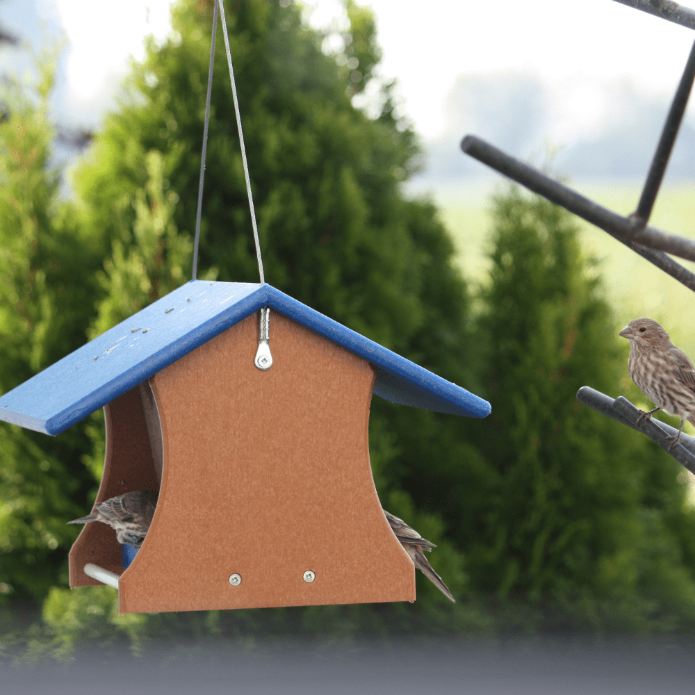 Bird feeder with birds perched on it against a green outdoor background