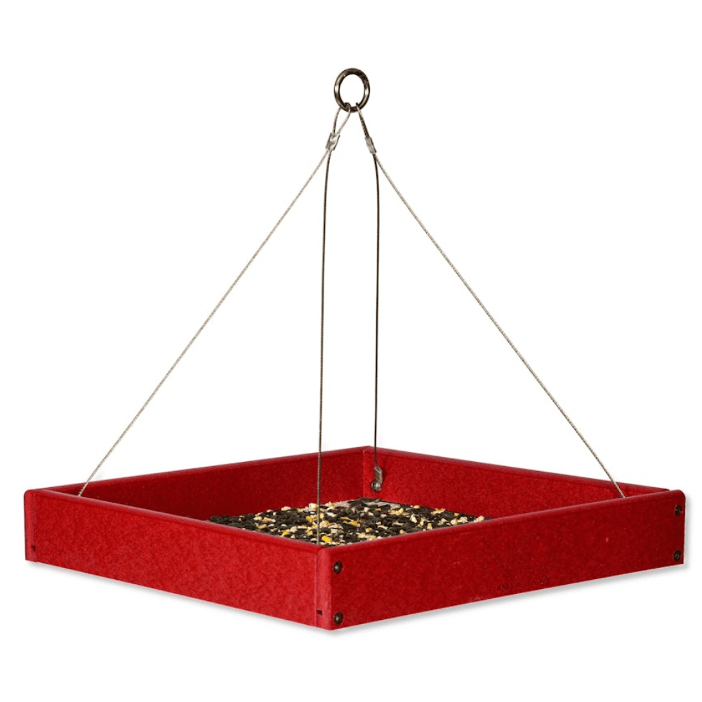 Bright Red square bird feeder with seeds on a white background