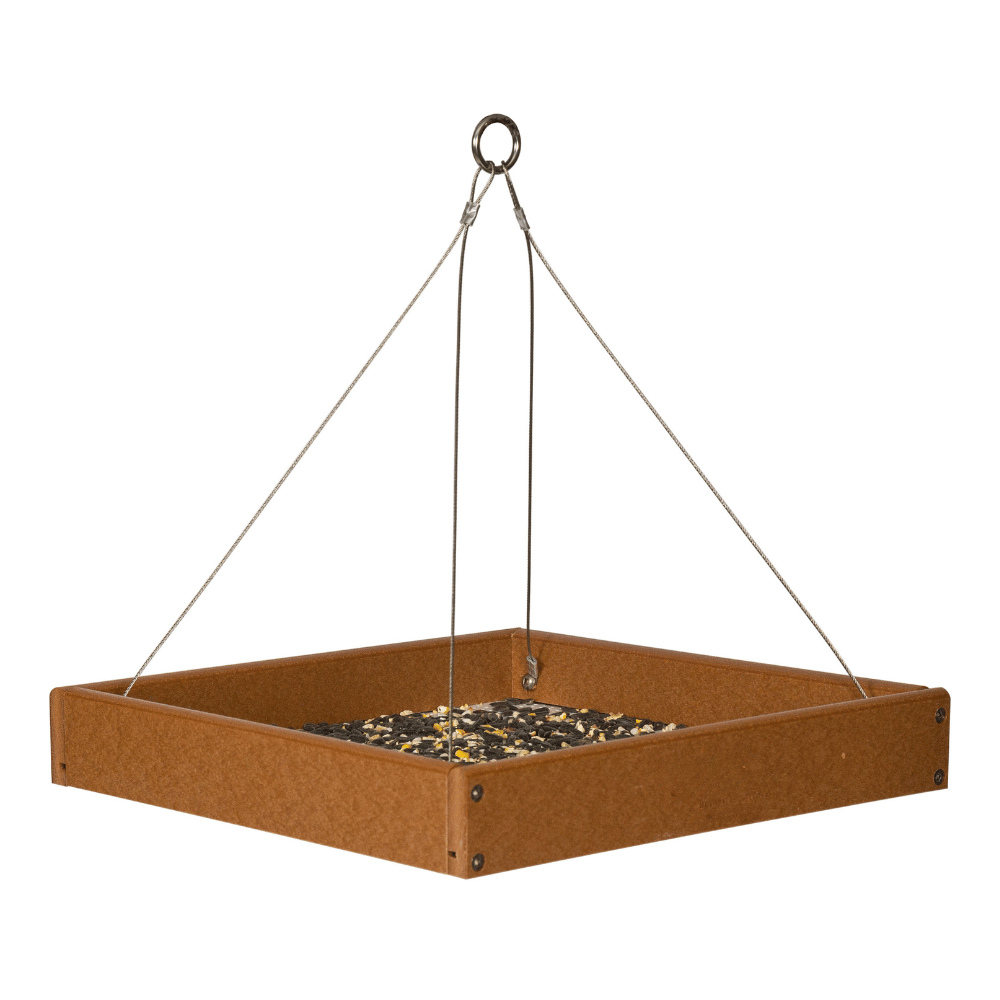 Bright Cedar bird feeder with hanging mechanism on a white background