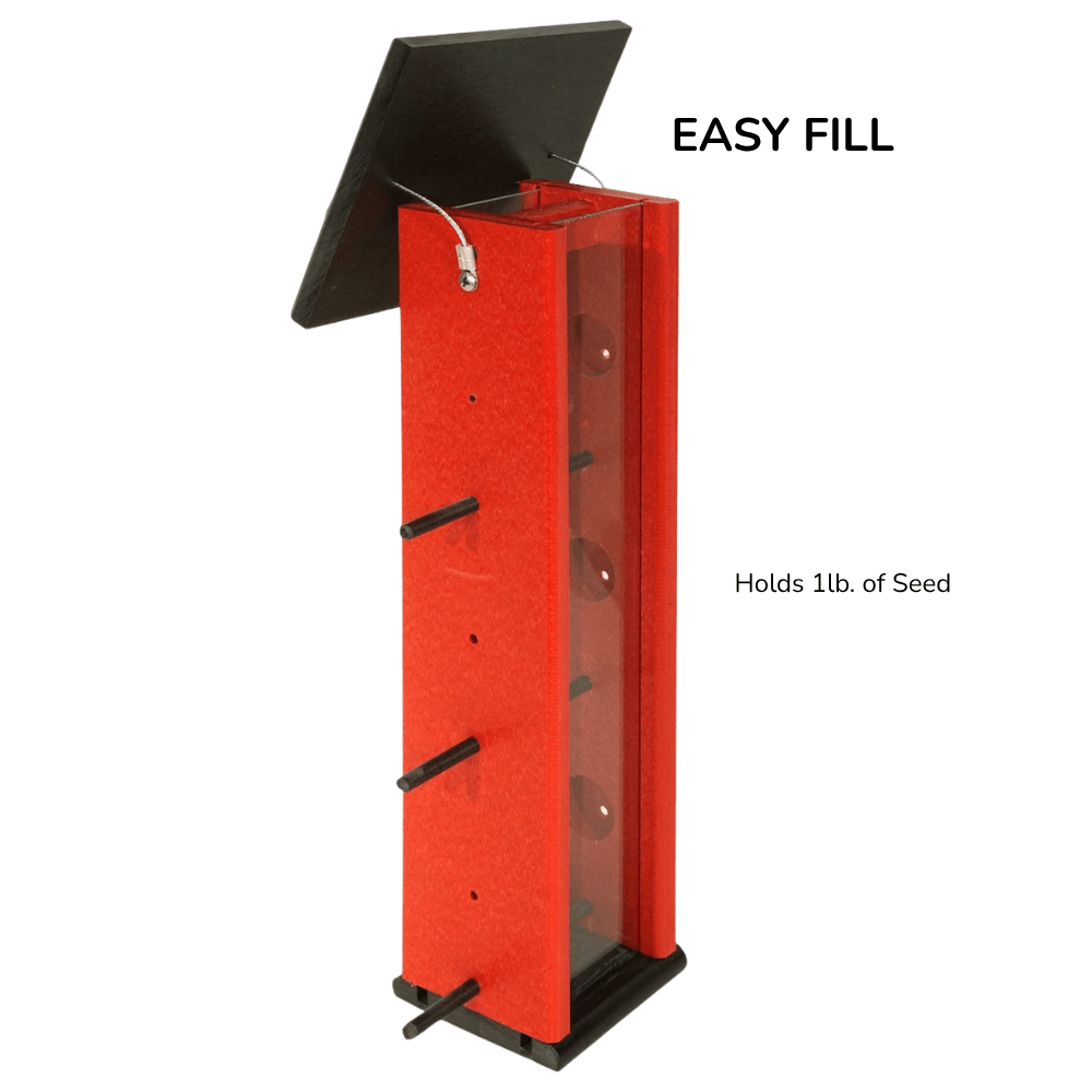 Finch feeder with black lid on a white background