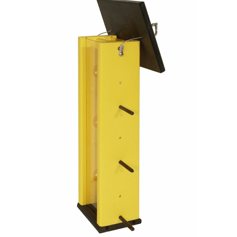 Yellow & black finch feeder on a white background