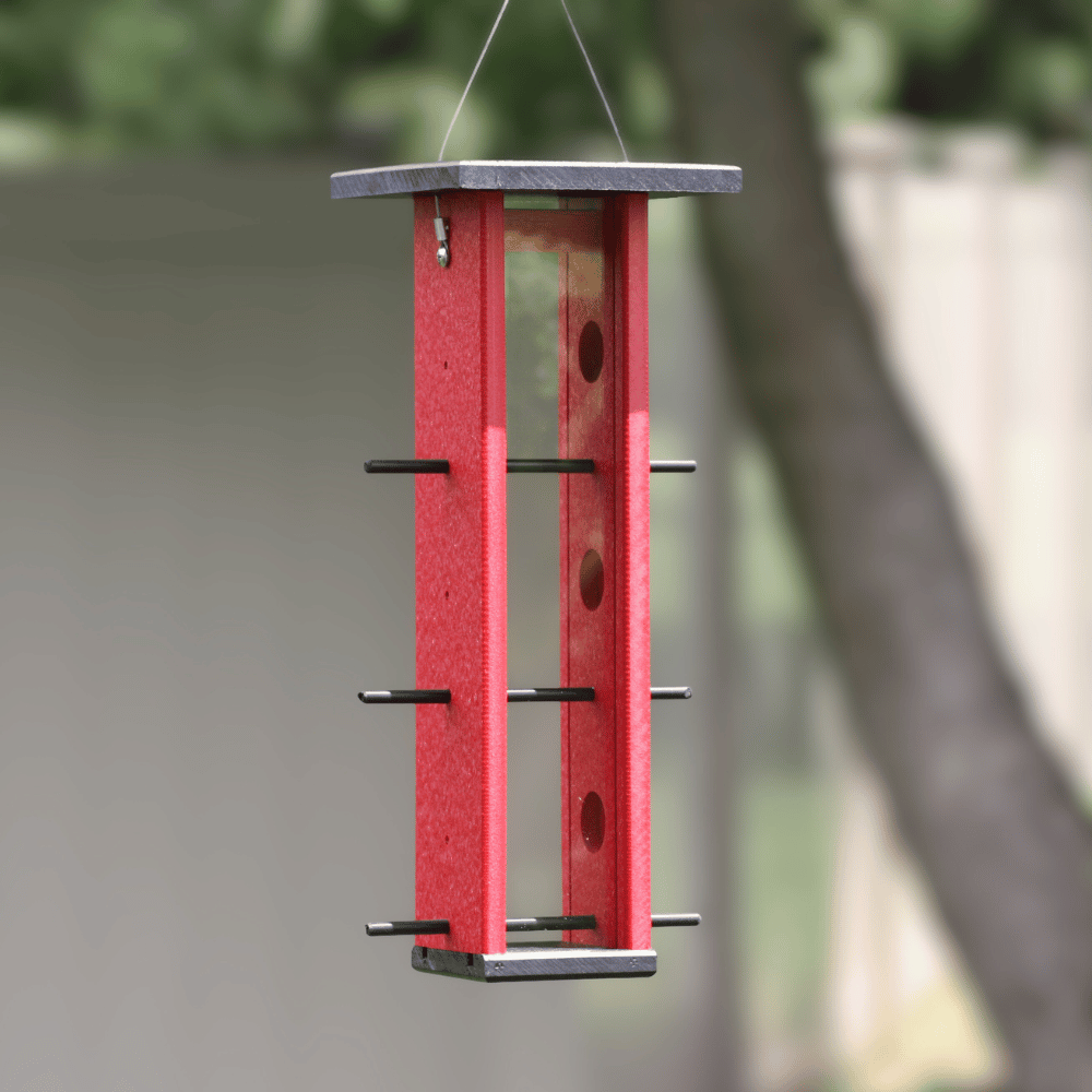 EcoPerch™ Plexiglass Finch Feeder
