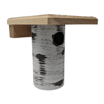 Gilbertson Bluebird Nest Box – NABS Approved