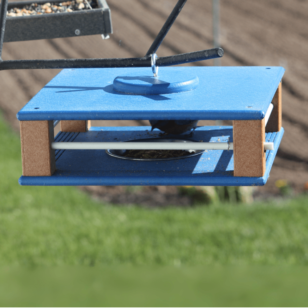Gilbertson Blue bird feeder hanging outdoors with a blurred background