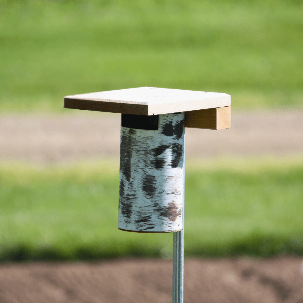 Gilbertson bluebird house with slot design and cedar roof