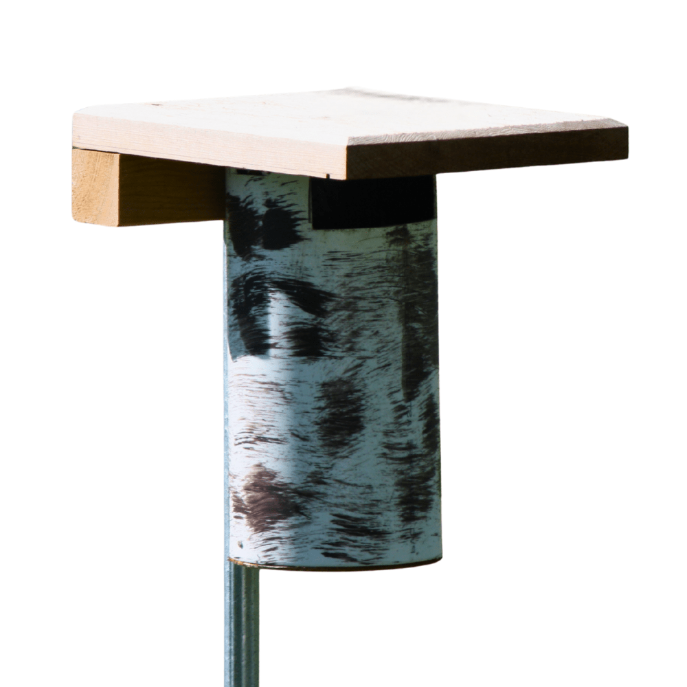 Gilbertson bluebird house with slot design and cedar roof on white background