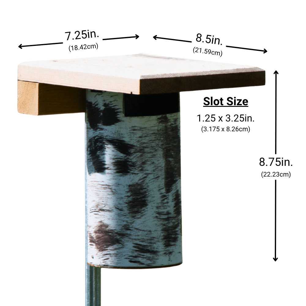 Measurement chart if Gilbertson bluebird house with slot design and cedar roof