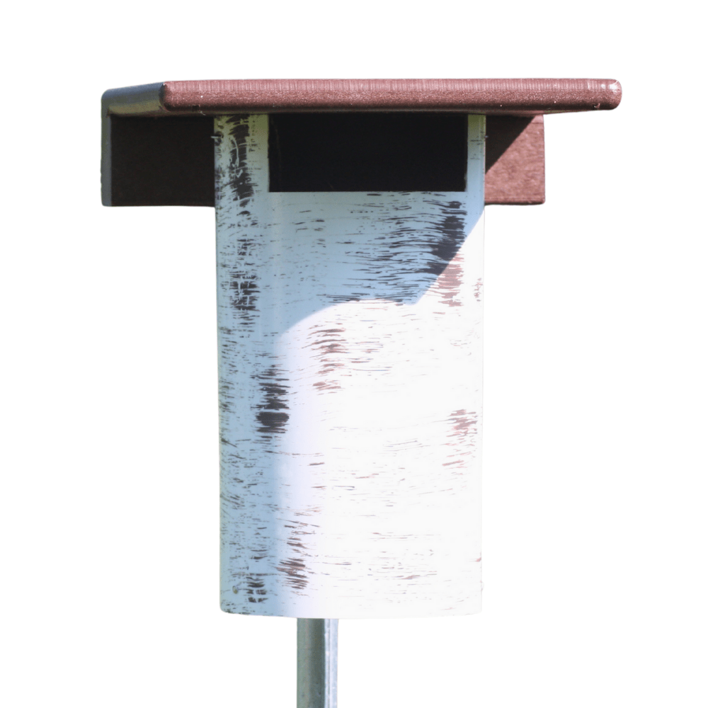 Gilbertson bluebird house on white background