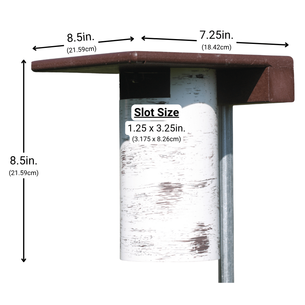 Bird house measurement chart showing dimensions of a slot size on a white background