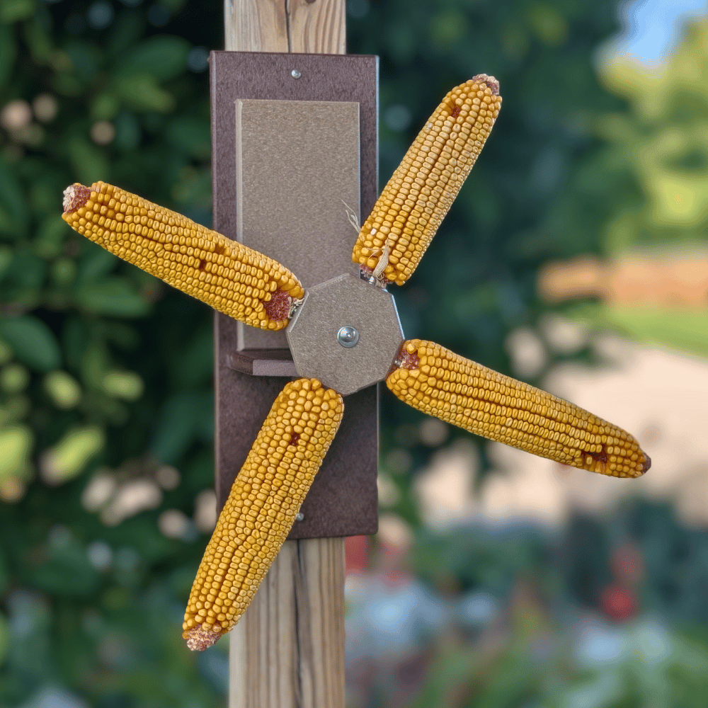 Spinning Corn Cob Squirrel Feeder