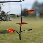 Oriole feeder hanging outdoors.