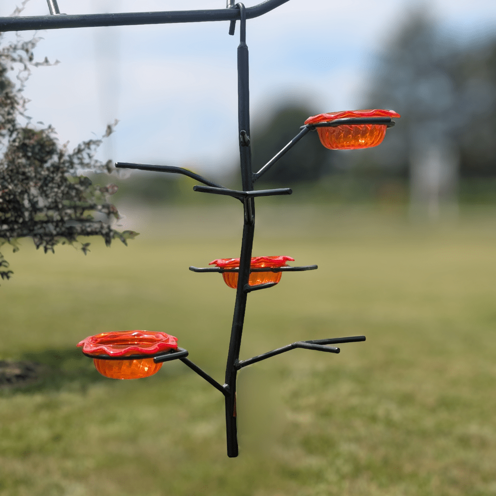 Oriole feeder hanging outdoors.