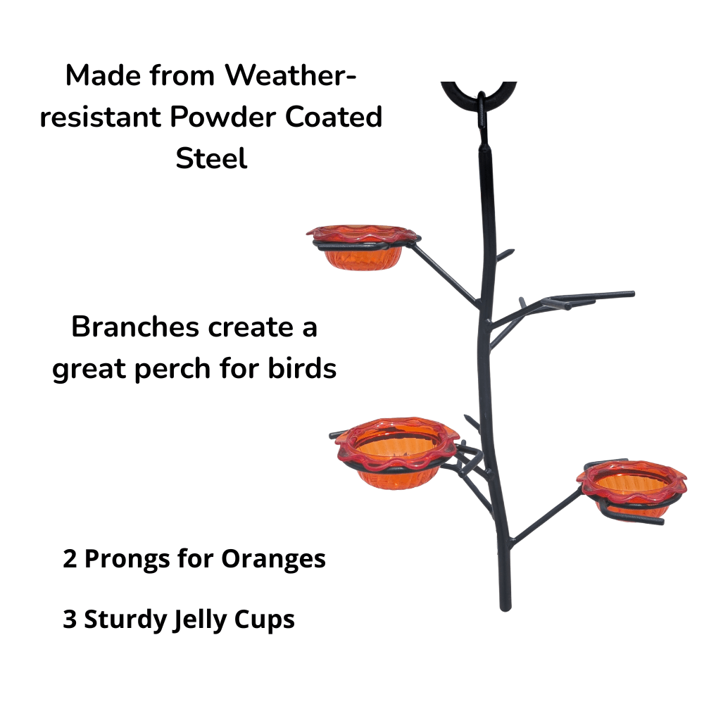 Oriole bird feeder with branches and jelly cups on a white background