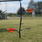 3 cup Oriole Feeder hung from a branch against a blurred natural background