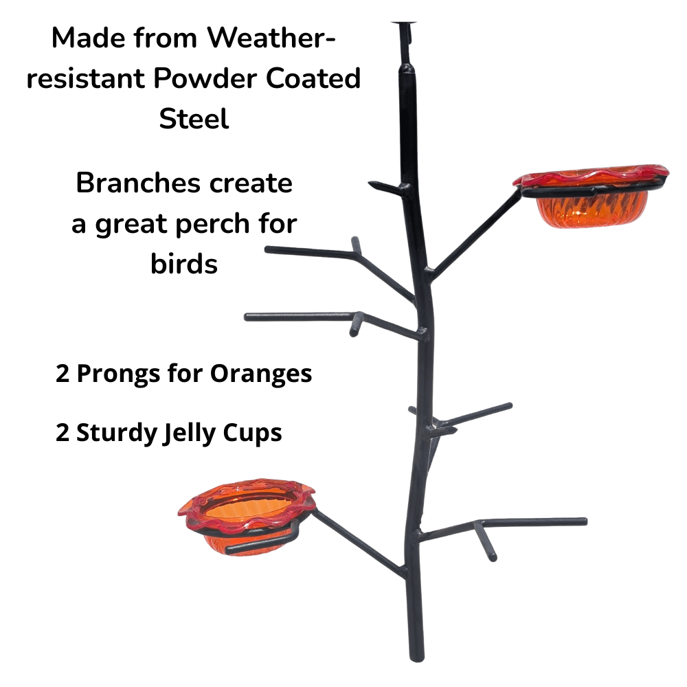 Oriole bird feeder with branches, prongs for oranges, and jelly cups on a white background