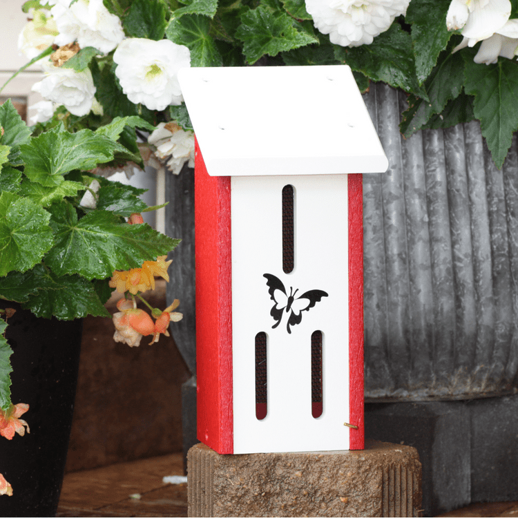 Red & White Butterfly house beside a flower pot