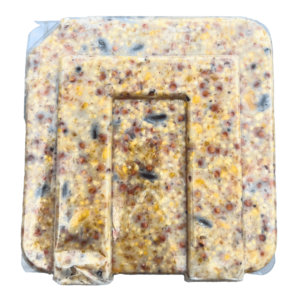Naturalist Berry Blend Suet Cake