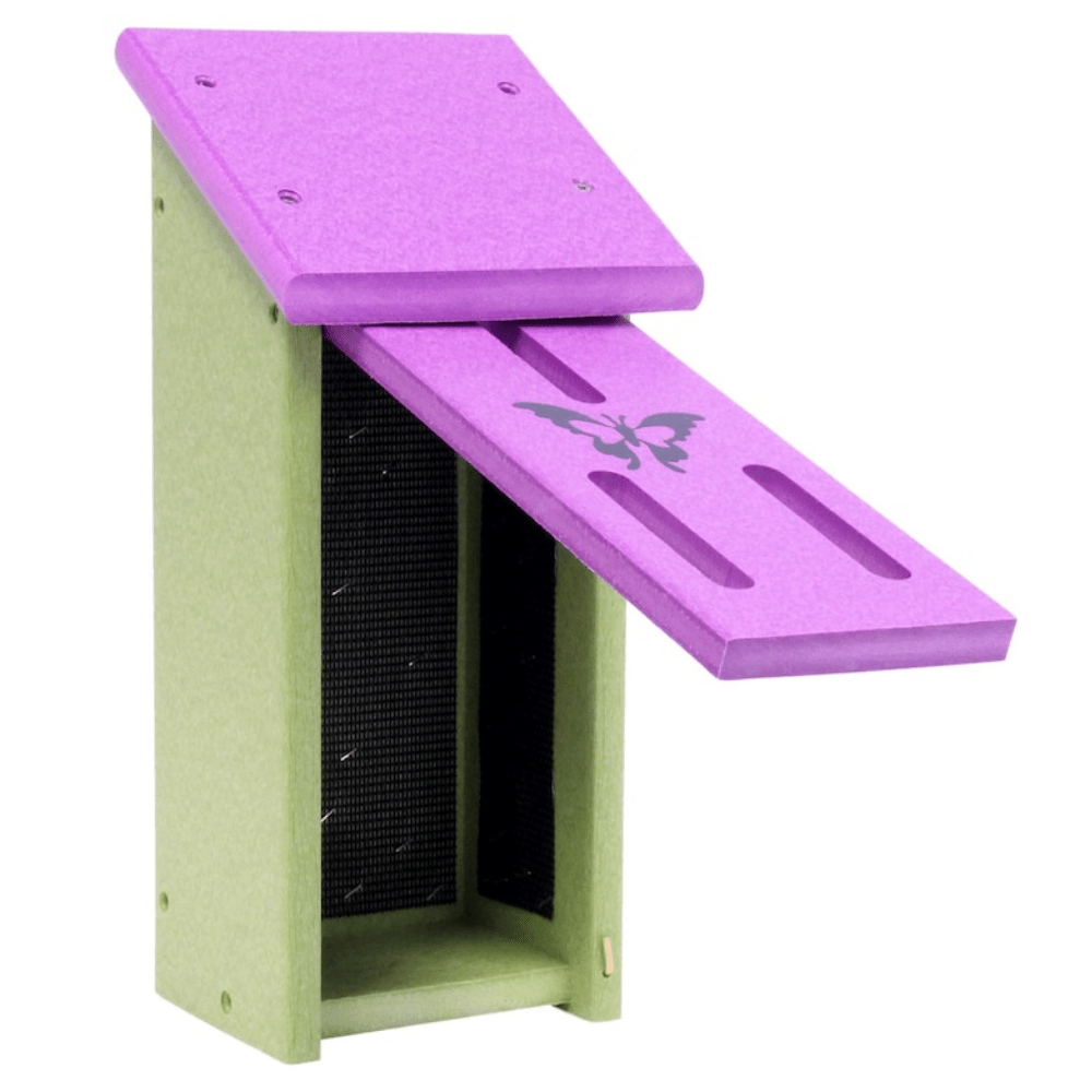 Purple and green butterfly house with a butterfly design and lid open for inside view on a white background