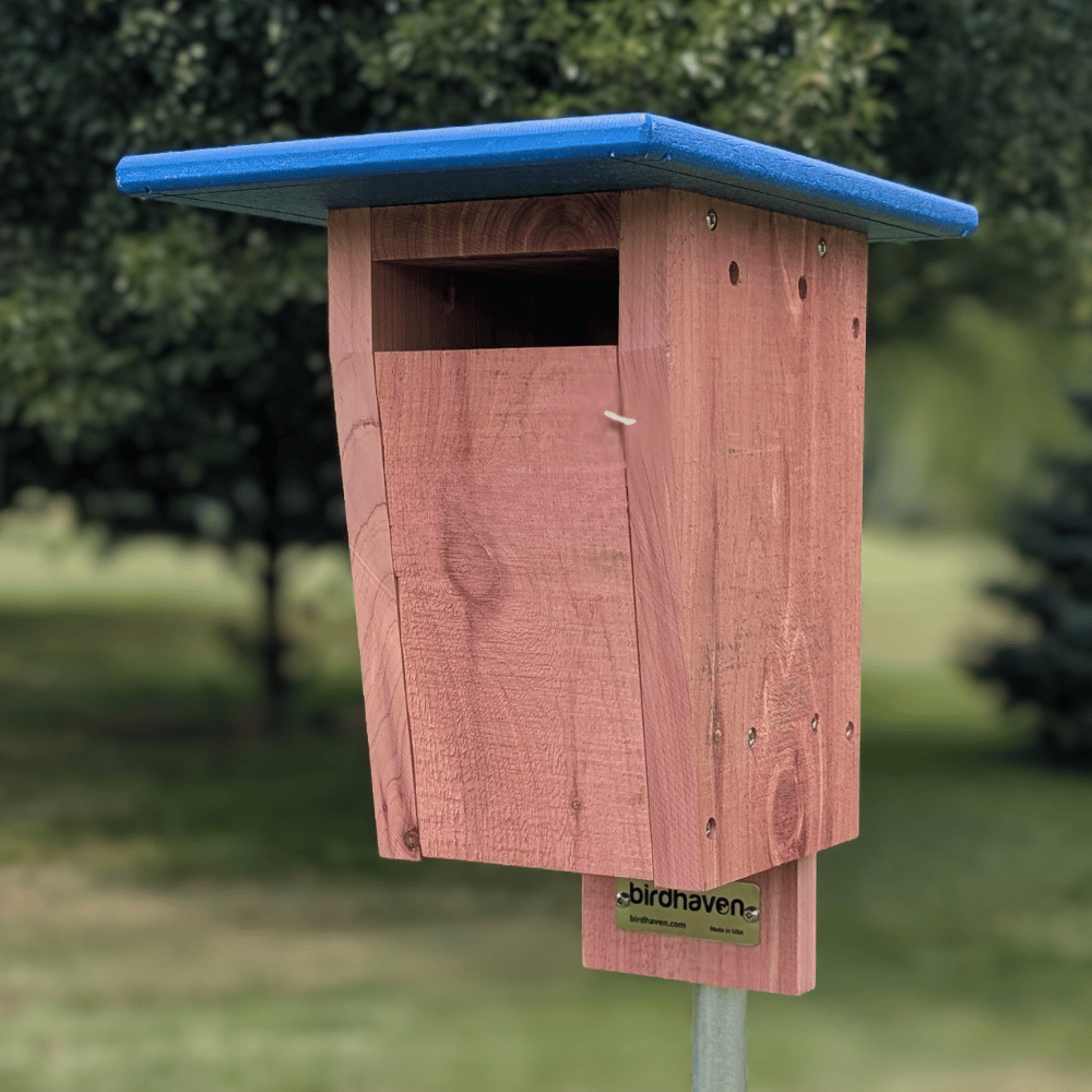 Slotted Cedar Bluebird House