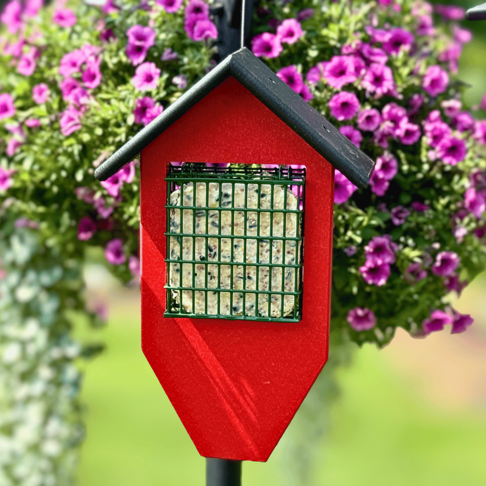 Classic Tail Prop Suet Feeder