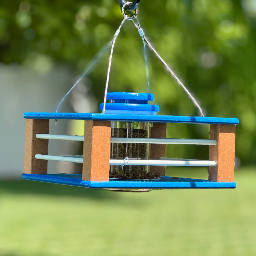 Deluxe Bluebird Feeder in Blue & Bright Cedar 