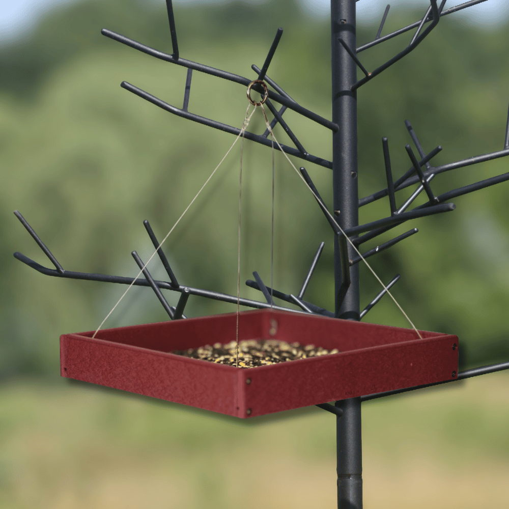 Cherry Red bird feeder hanging from a tree branch with a blurred green background