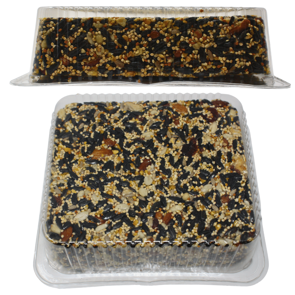 Pine Tree Farms Fruit Berry Nut Seed Cake 2 lbs.