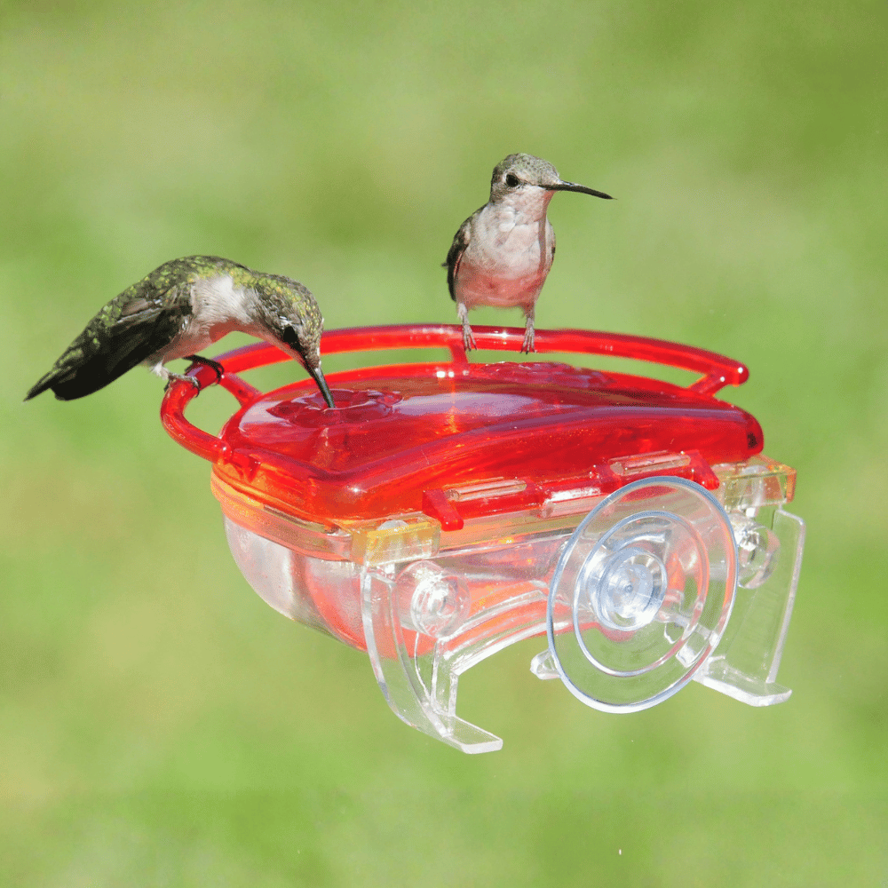 Aspects Gem Window Hummingbird Feeder 4oz