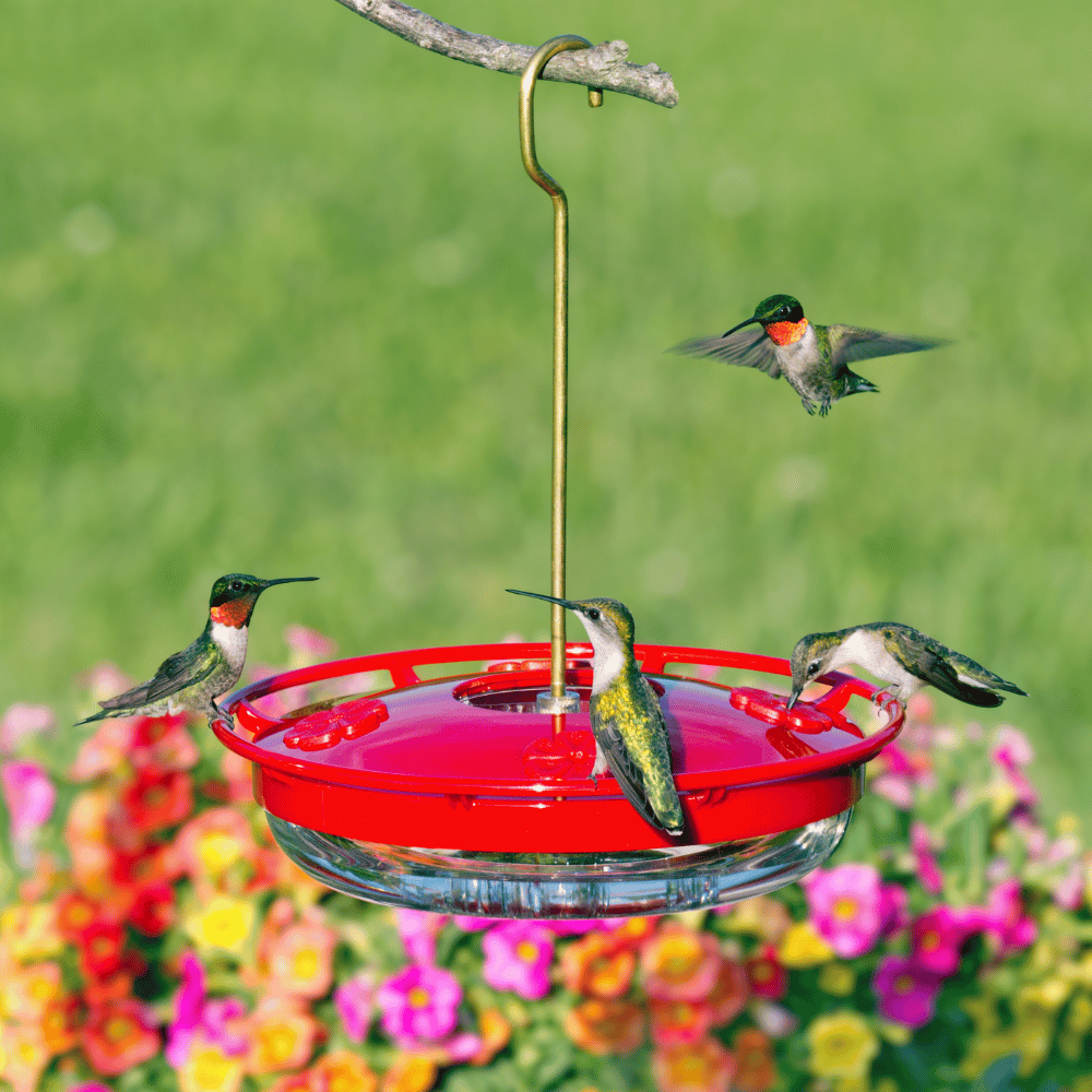 Aspects HummZinger HighView Hummingbird Feeder 12 oz