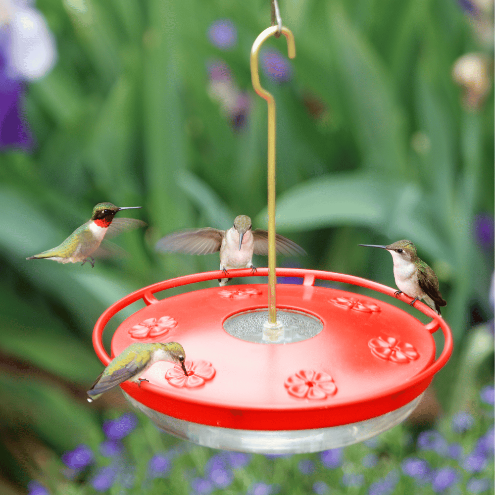 Aspects HummZinger HighView Excel Hummingbird Feeder 16 oz