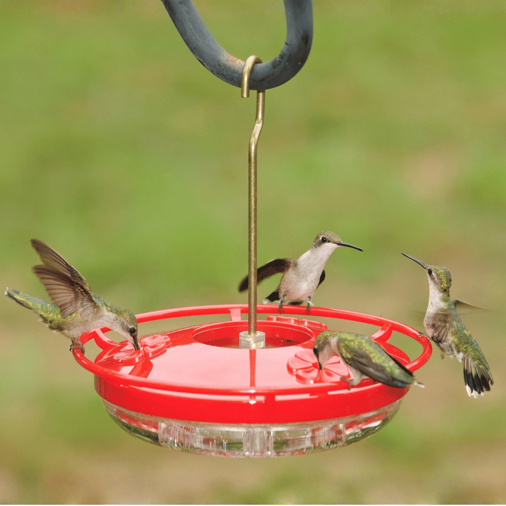 Aspects HummZinger HighView Mini Hummingbird Feeder 8 oz