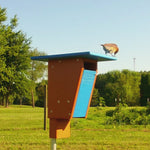 Bluebird house with bluebird feeding