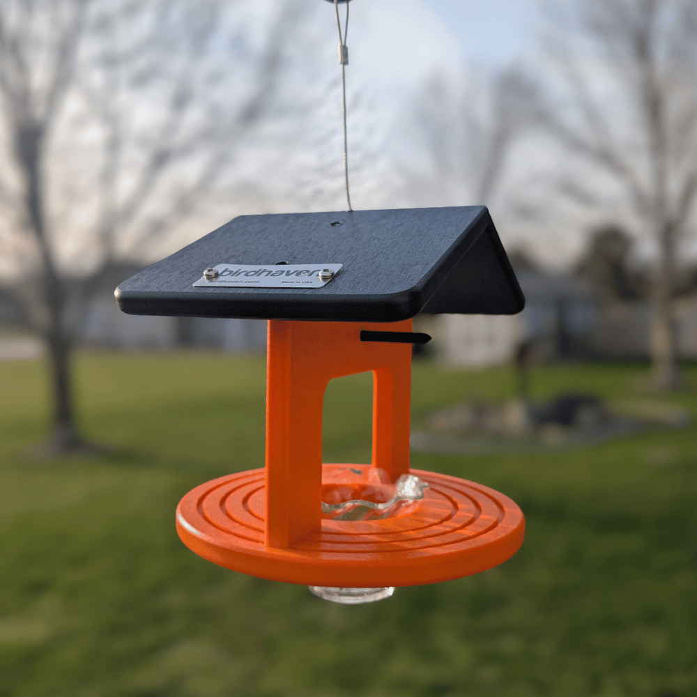 Round Oriole Jelly & Orange Feeder