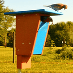 Birdhouse with a bird perched on it in an outdoor setting