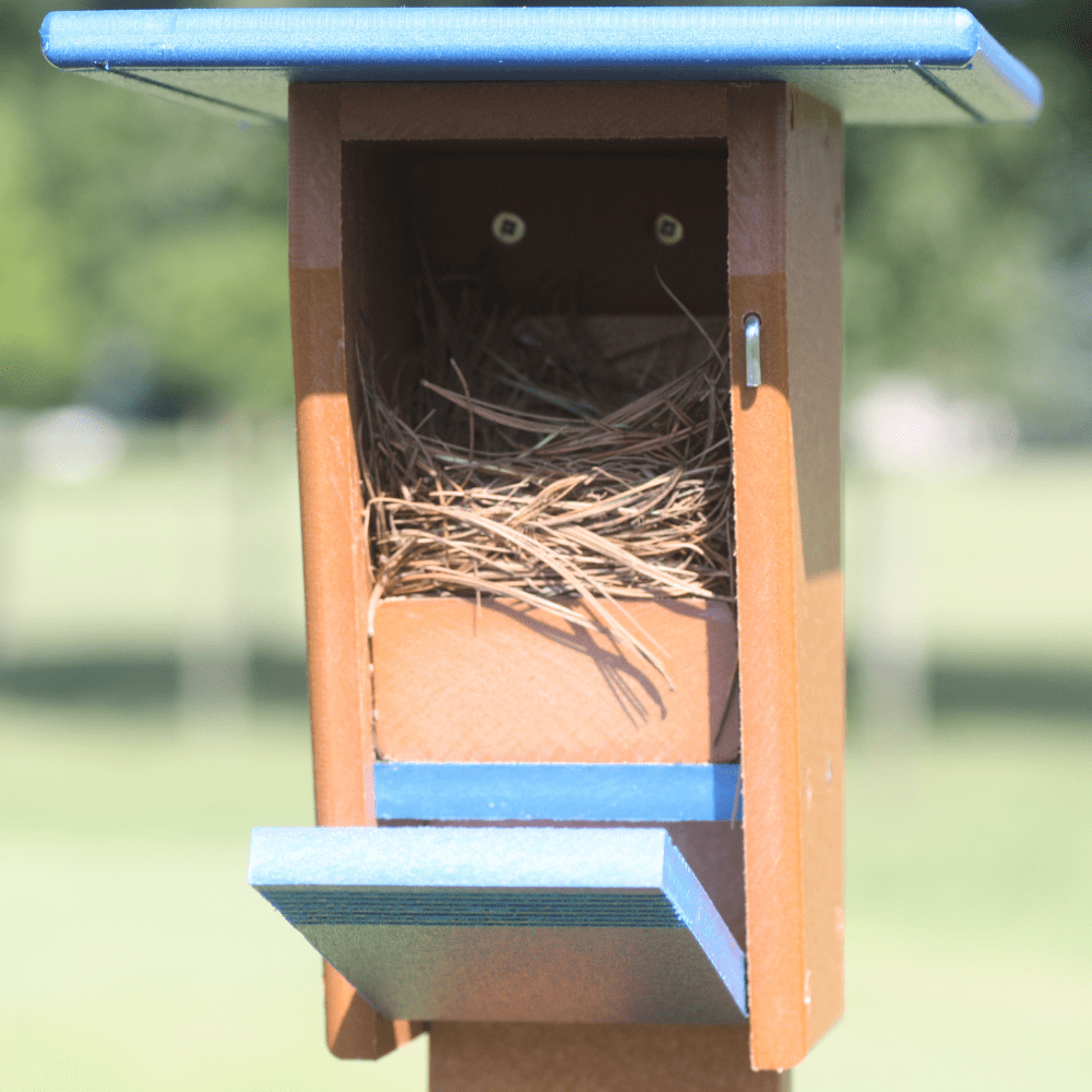 Birdhouse with a nest inside against a blurred green background