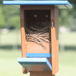 Birdhouse with a nest inside against a blurred green background