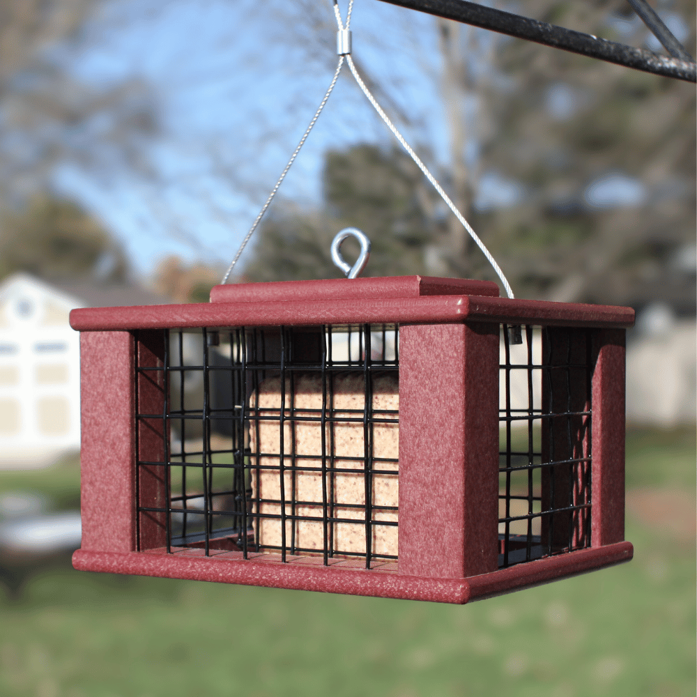Sparrow-Resistant Upside-Down Suet Feeder