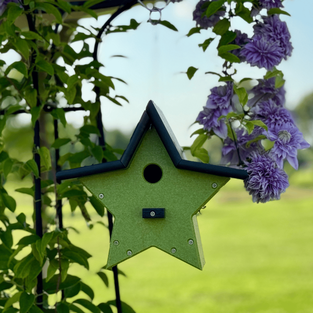 Wren or Chickadee House – Star Shaped