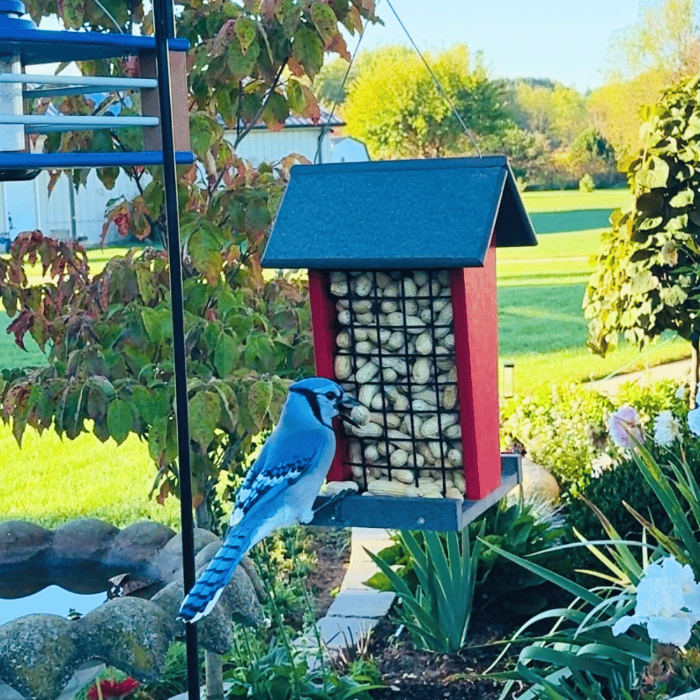 Whole Peanut Mesh Bird Feeder
