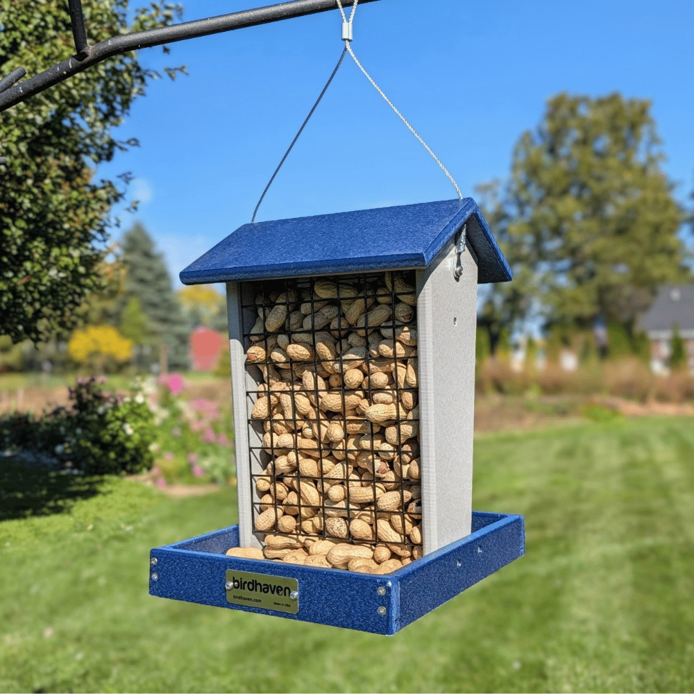 Whole Peanut Platform Bird Feeder with Mesh Sides