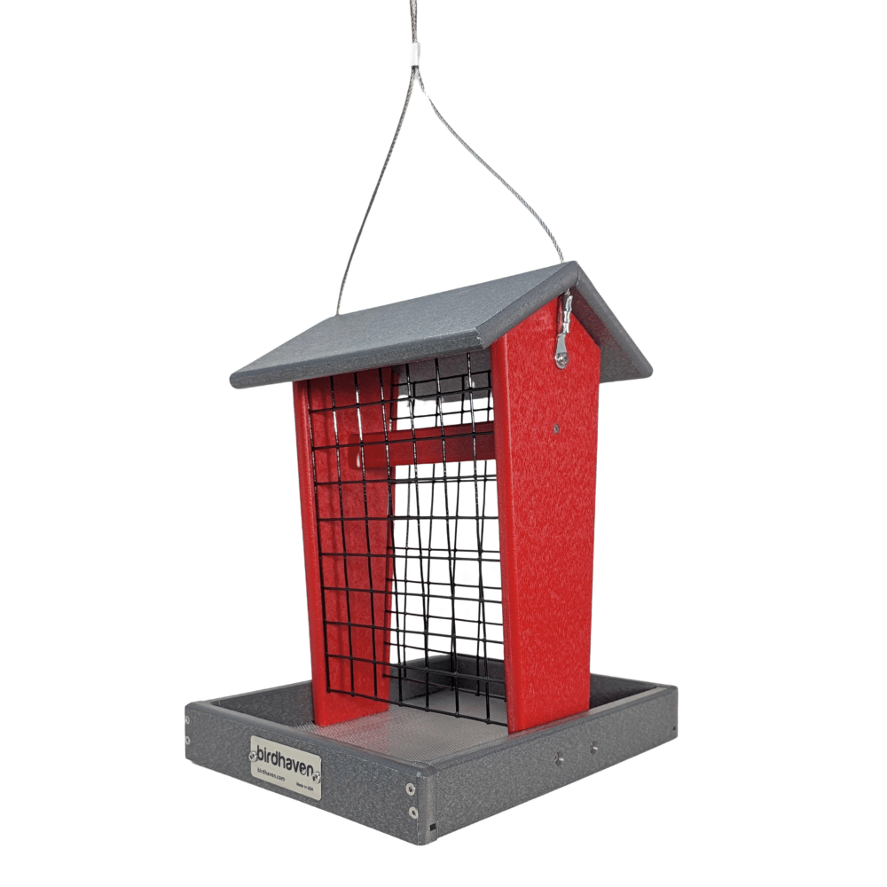 Whole Peanut Platform Bird Feeder with Mesh Sides